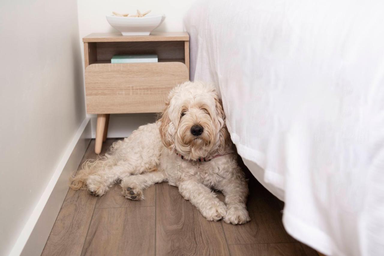 Deluxe Double Room Pet Friendly,1000126728:JPEG