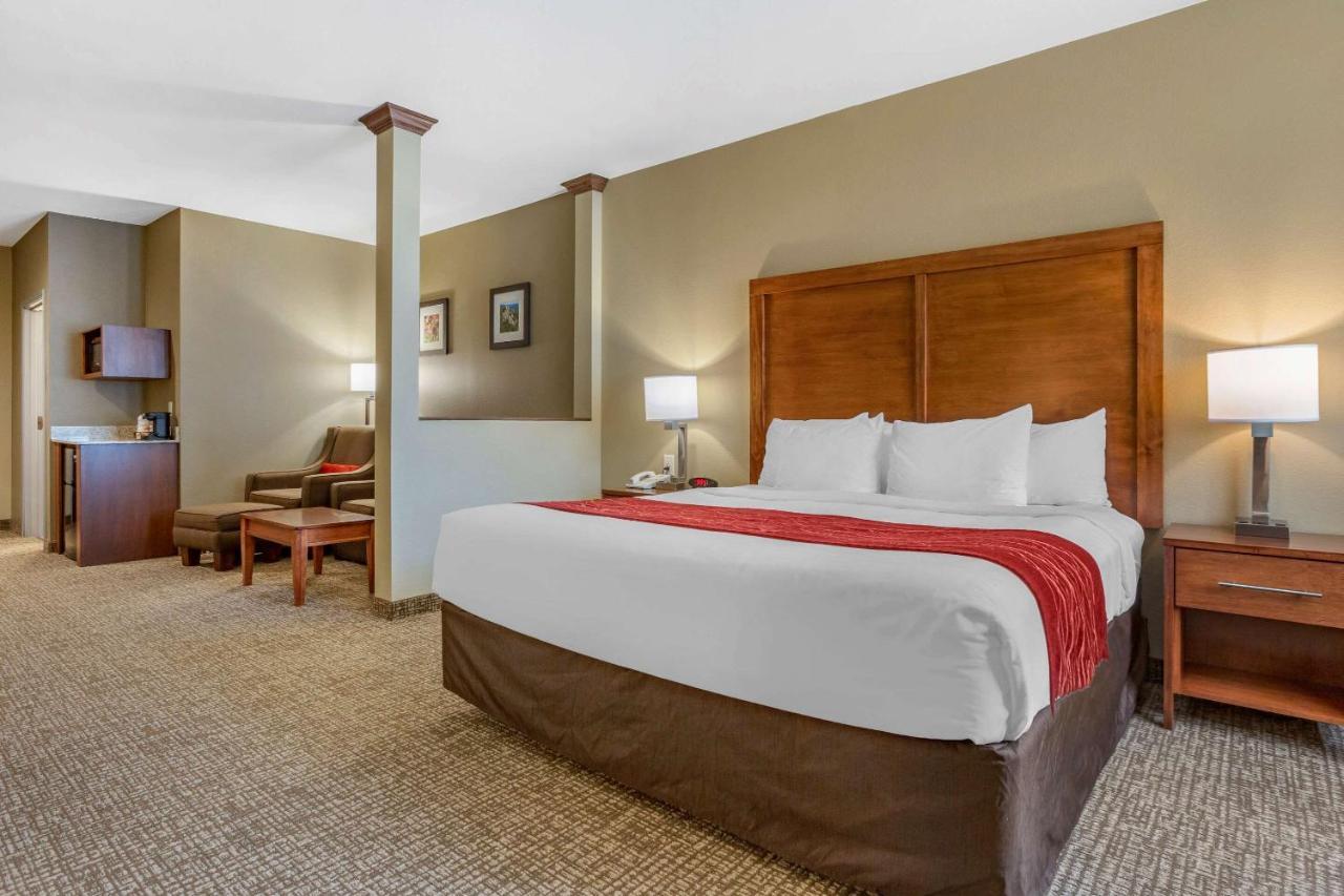 King Suite with Sofa Bed - Non-Smoking
