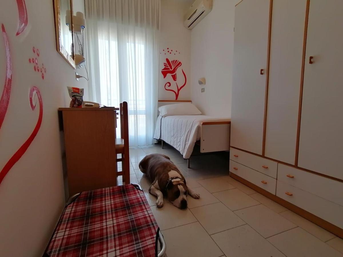 Single Room,1074002701:JPEG