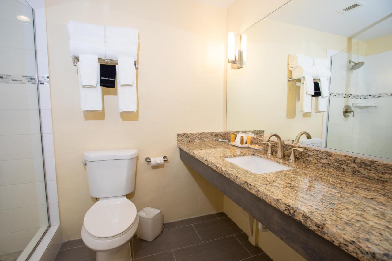 Standard City View King Room