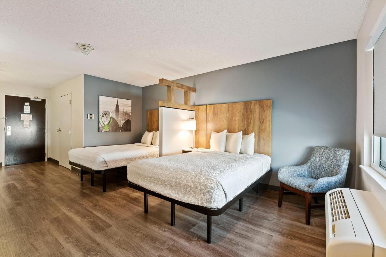 Superior Studio with 2 Double Beds - Non-Smoking