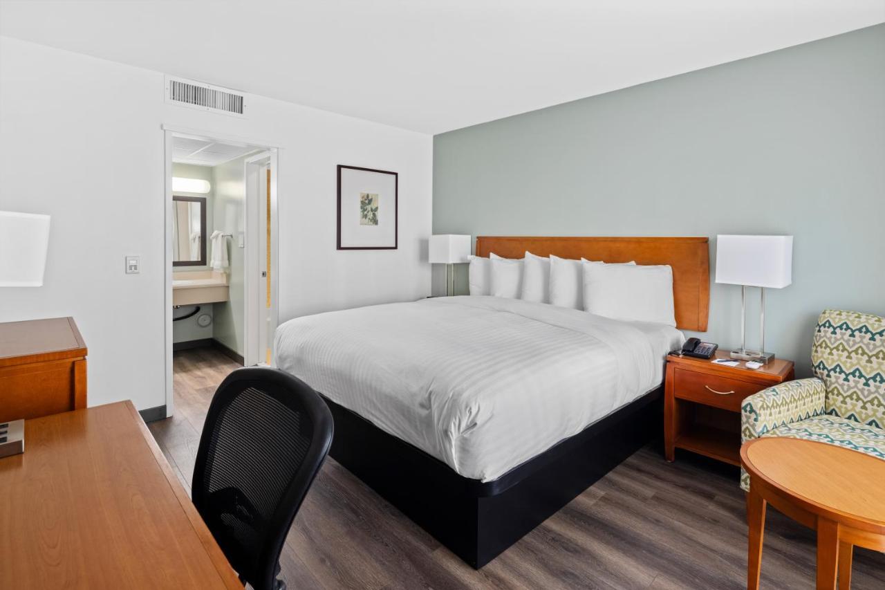King Room,1130153724:JPEG