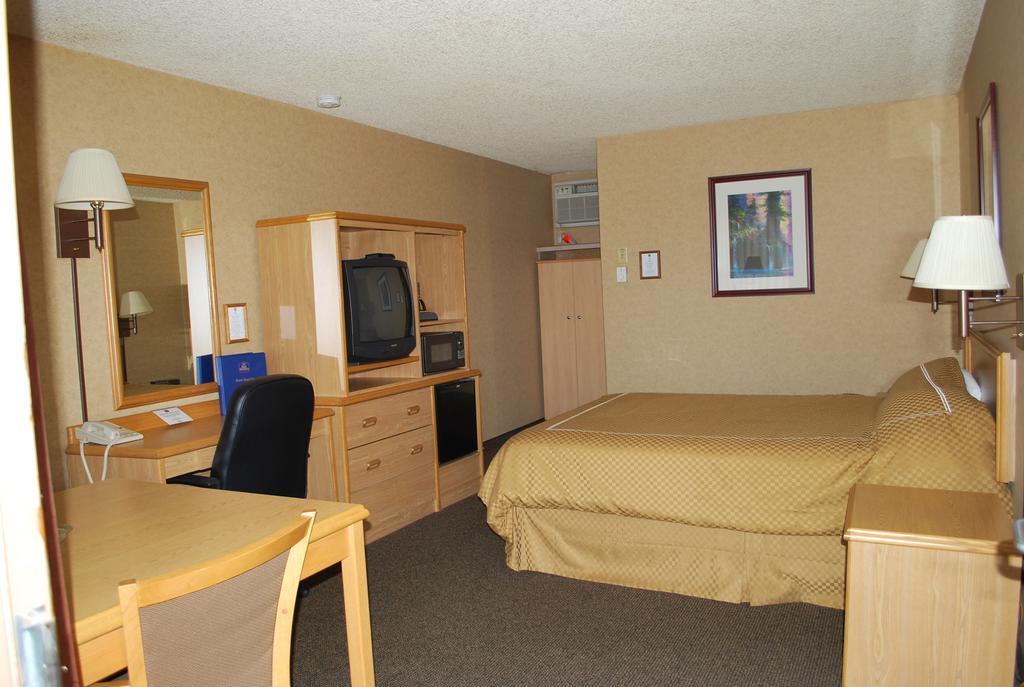 King Room - No Pets