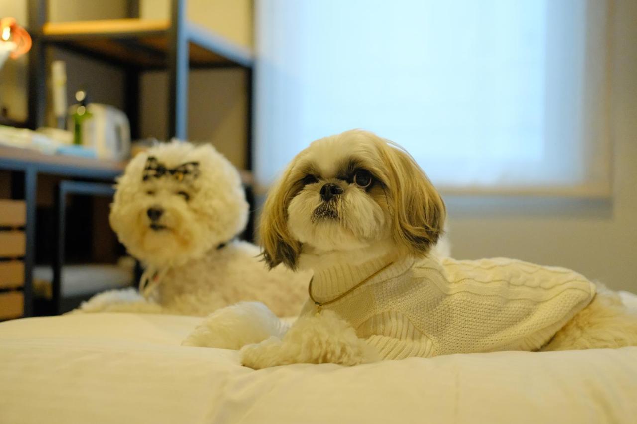 Dog-Friendly - Deluxe Twin Room - Non-Smoking (For Two Dog)