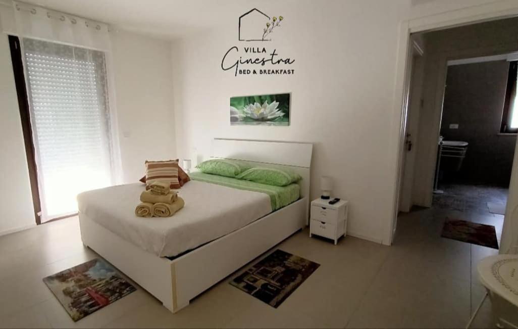 Double Room,1176712252:JPEG