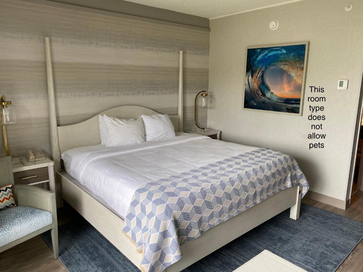 King Room - Non-Smoking