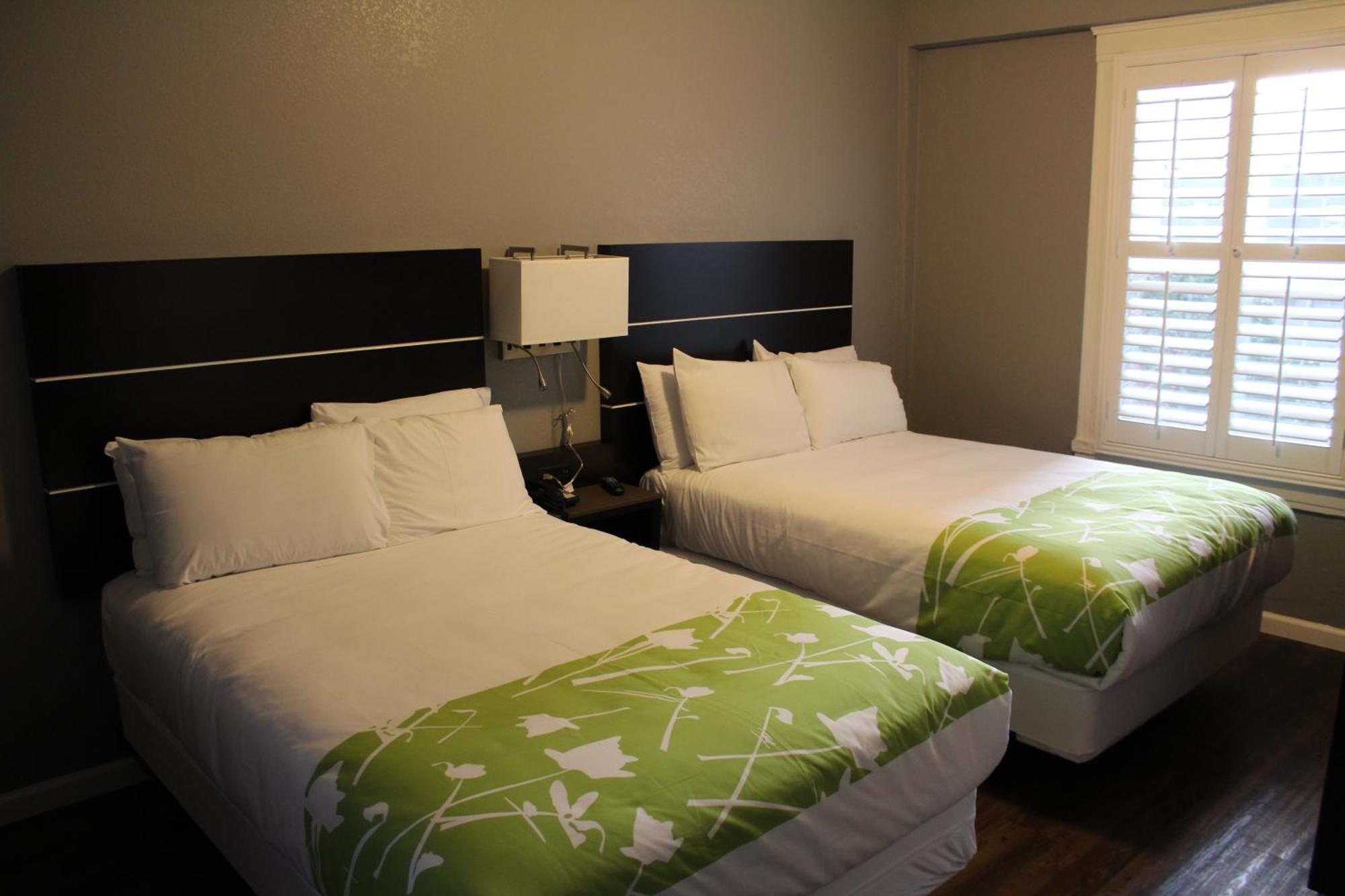 Double Room with 2 Double Beds