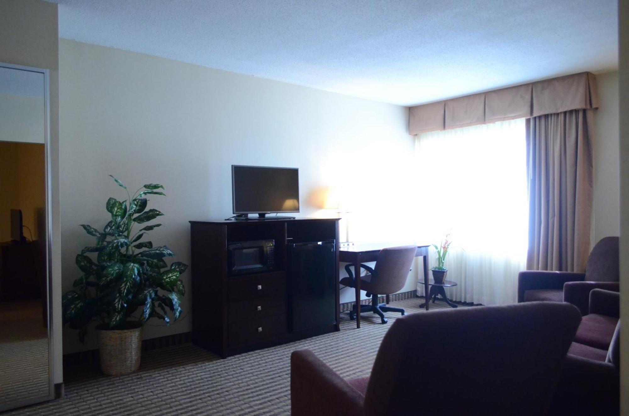 King Suite with Sofa Bed - Non Smoking