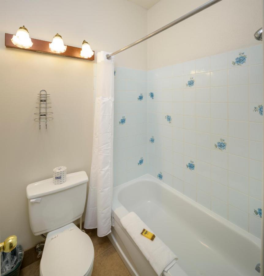 Two-Bedroom Studio with Lake View