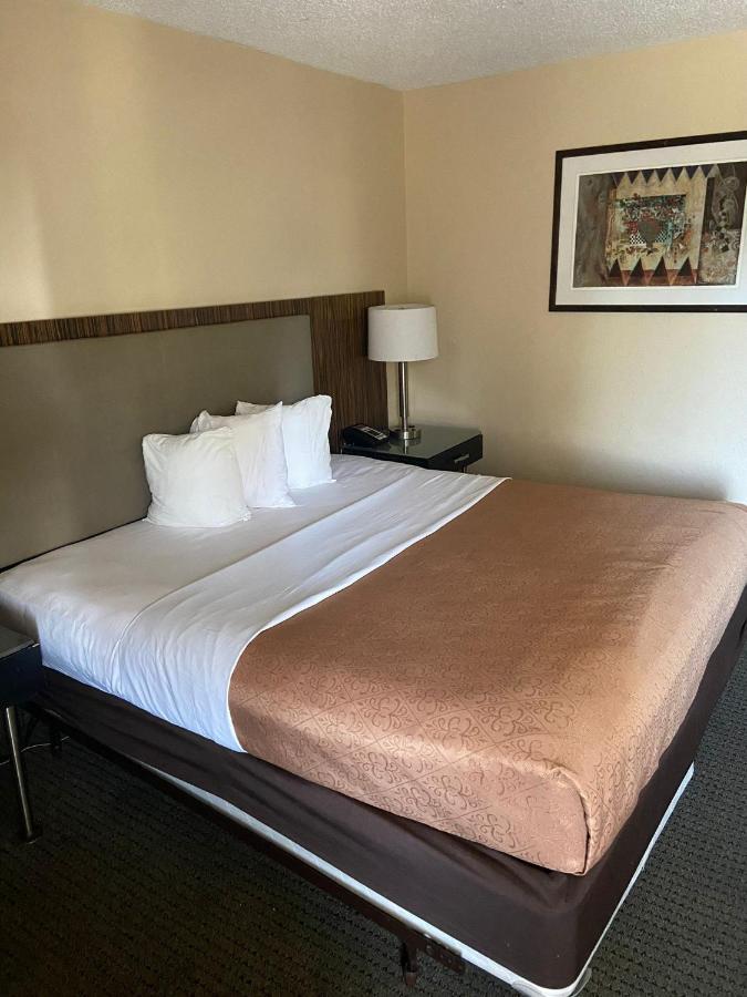 King Room - Non-Smoking