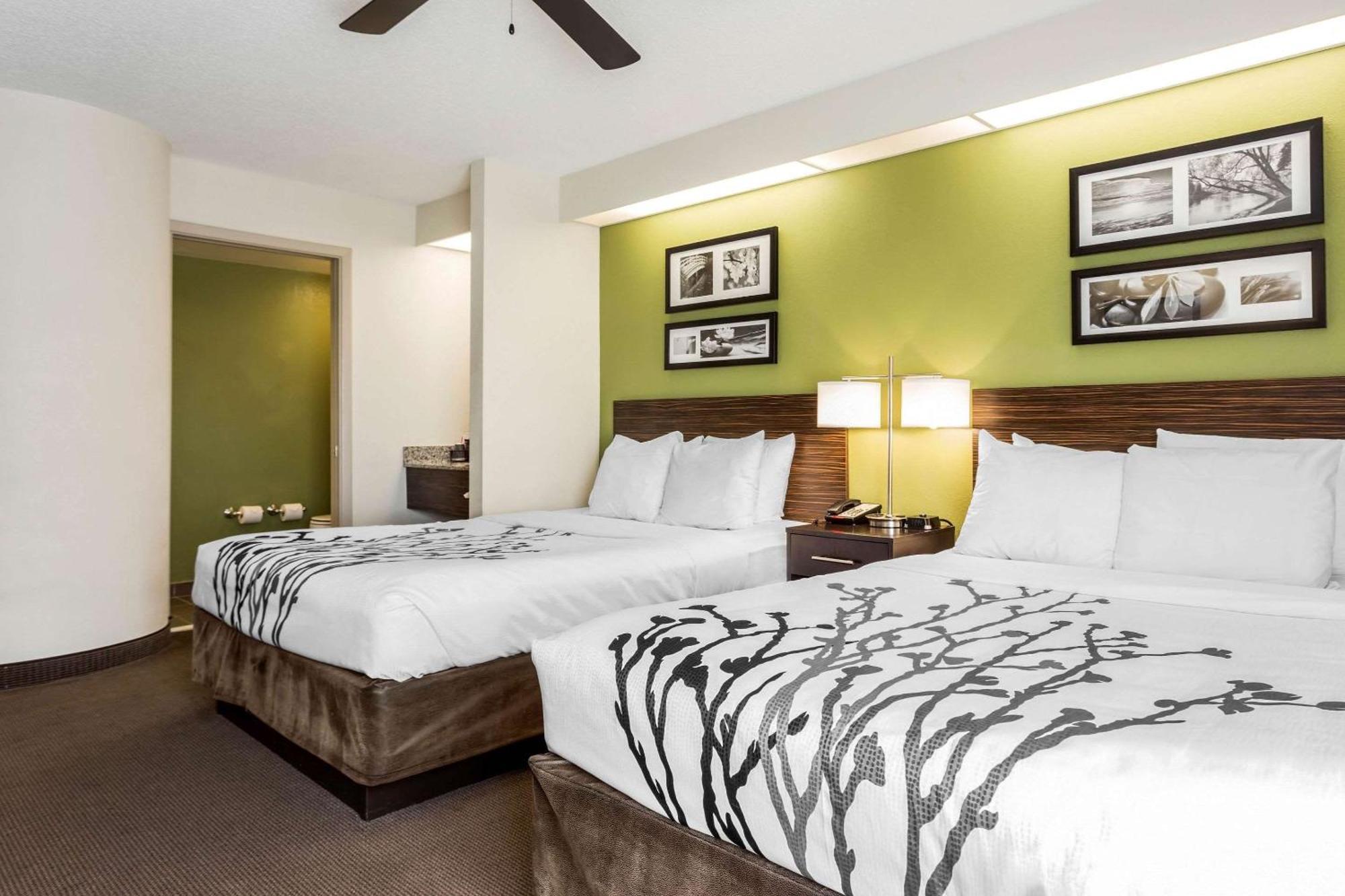 Standard Queen Room