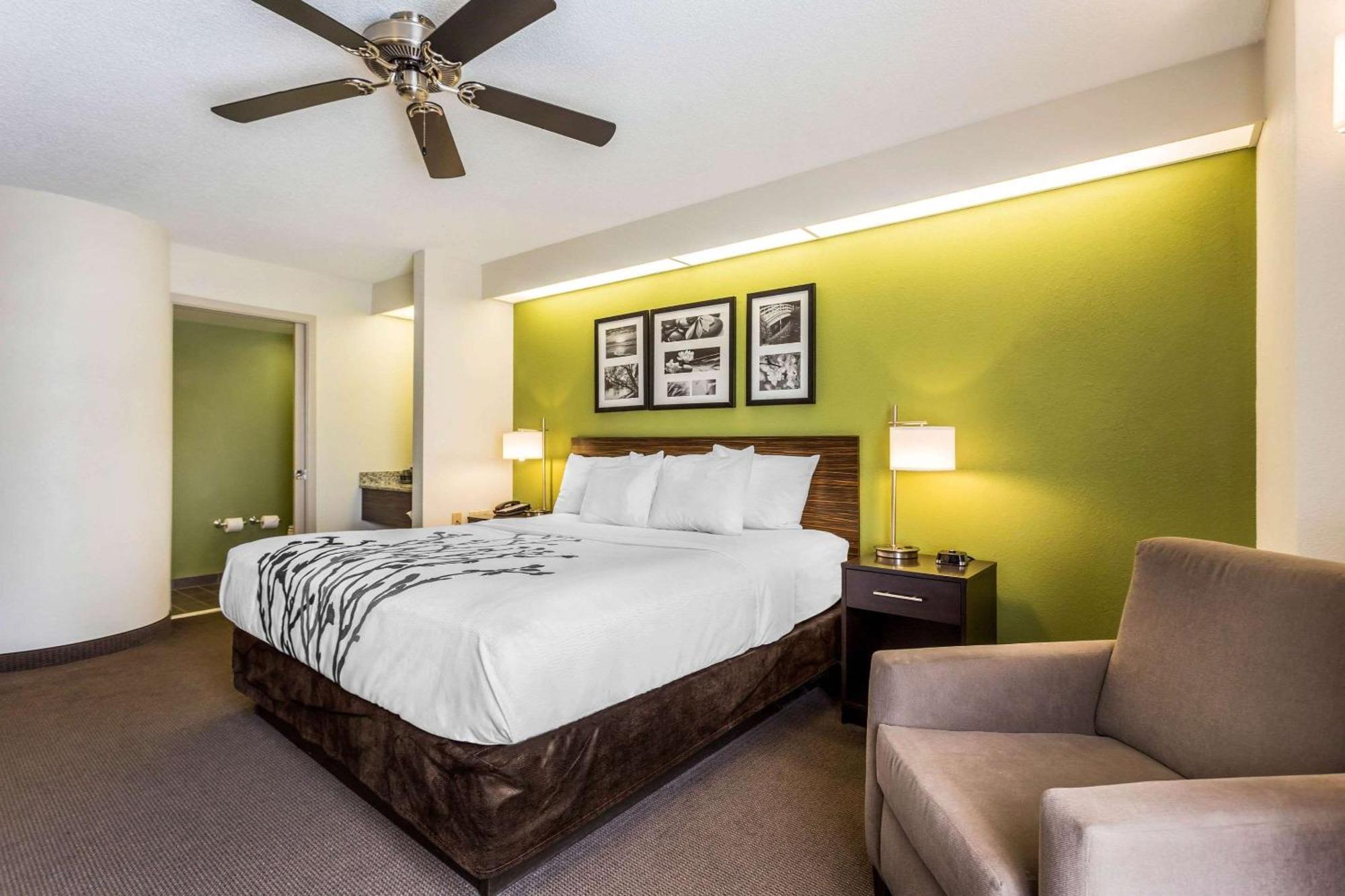 Standard King Room