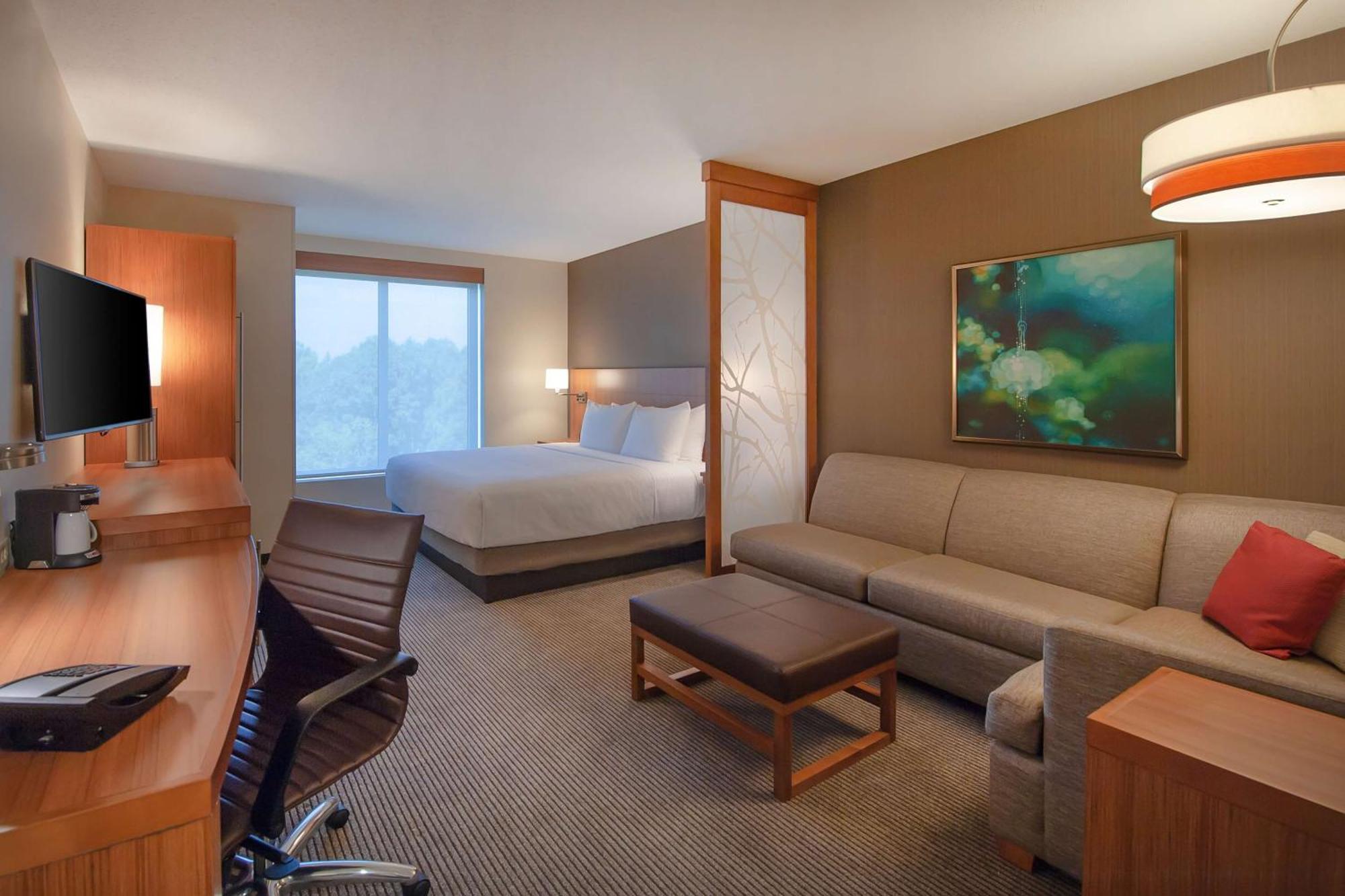 King Room with Sofa Bed and Roll-In Shower - Disability Access