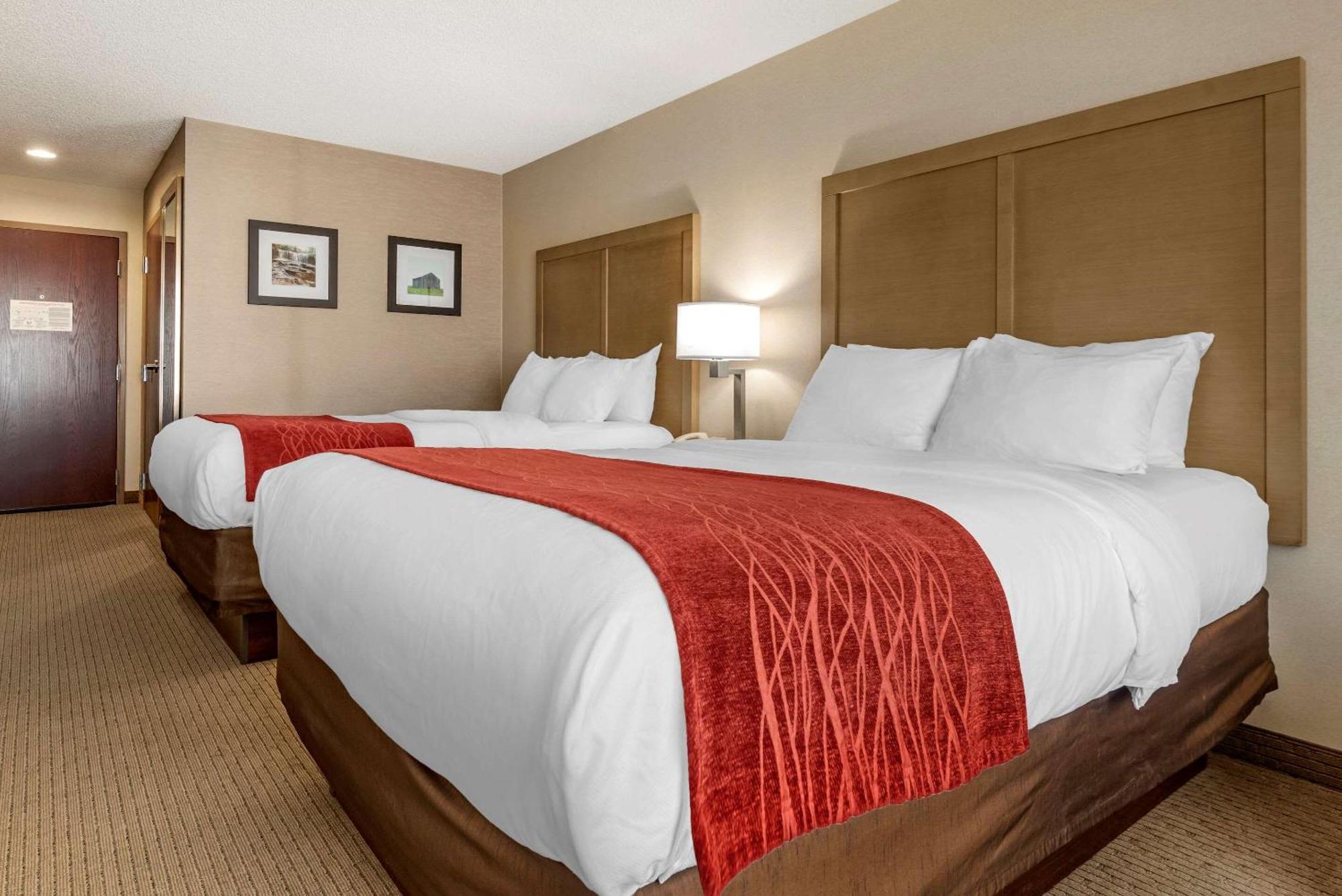 Queen Room with Two Queen Beds - Non-Smoking