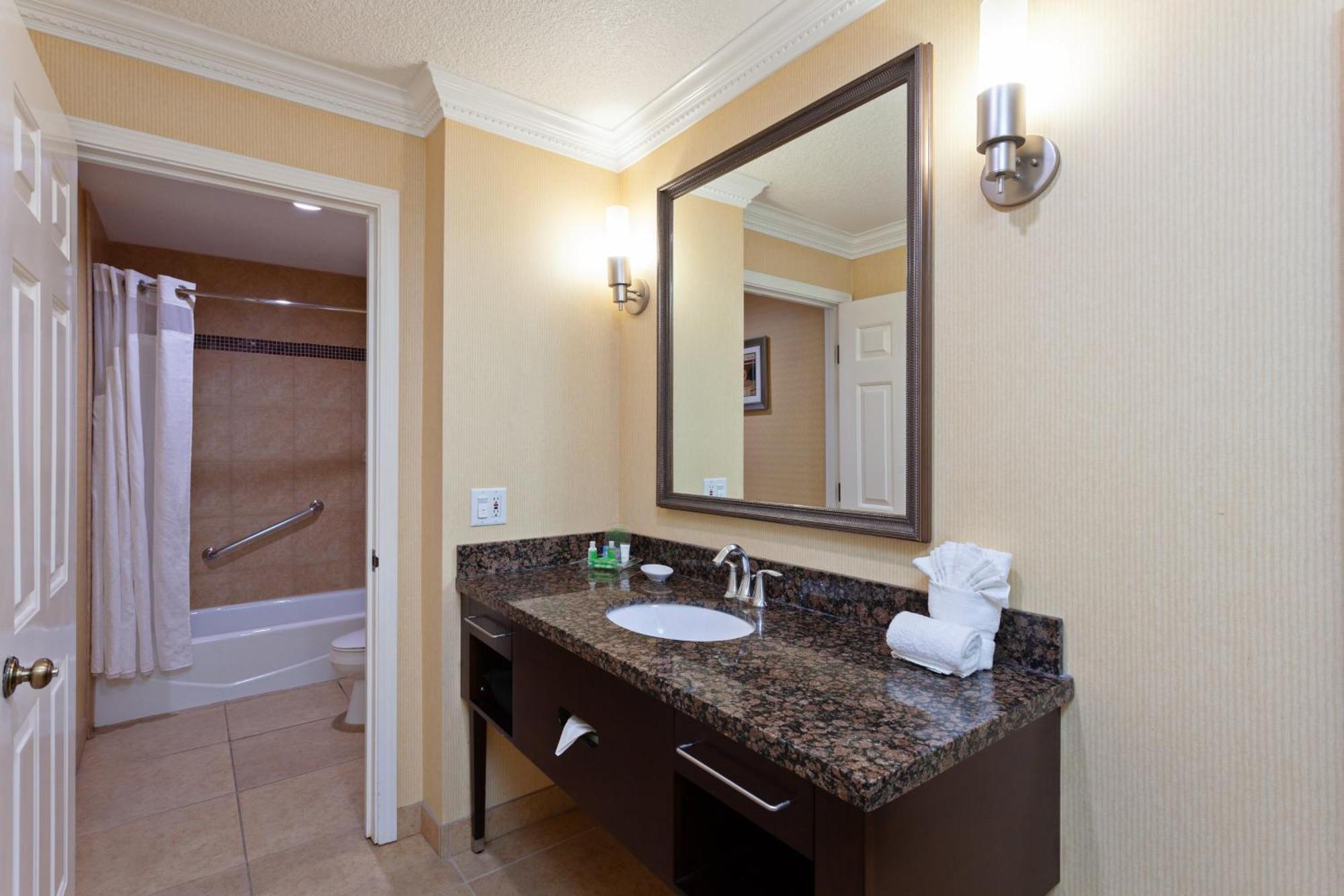One-Bedroom King Suite