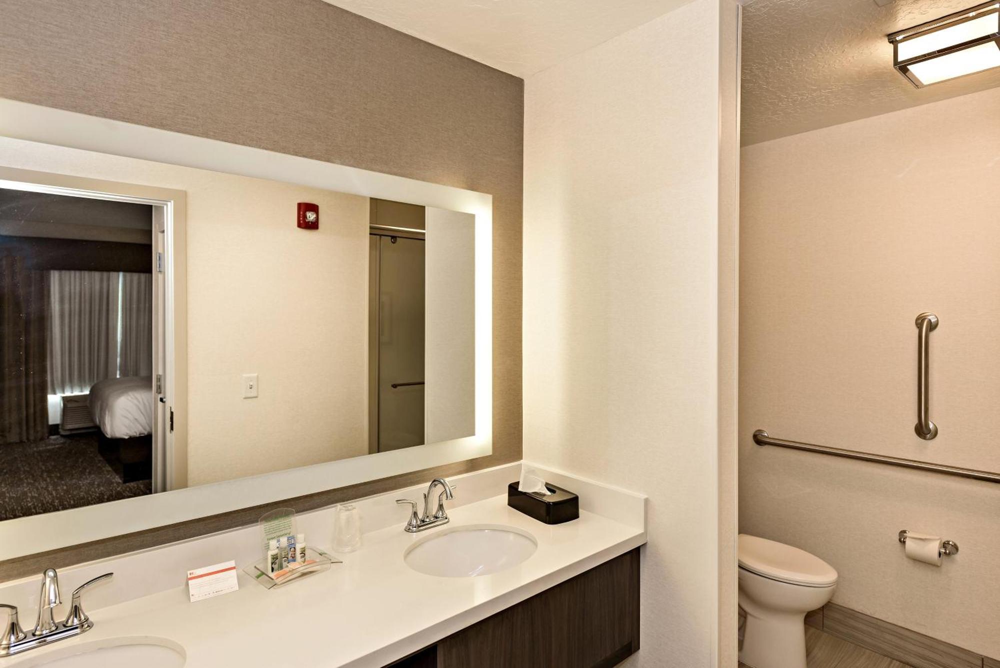 One-Bedroom King Suite with Sofa Bed