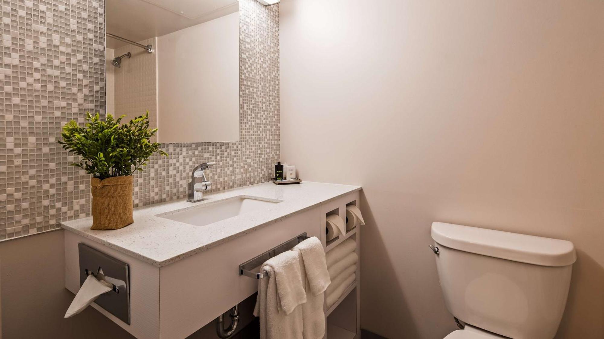 King Room - Pet-Friendly