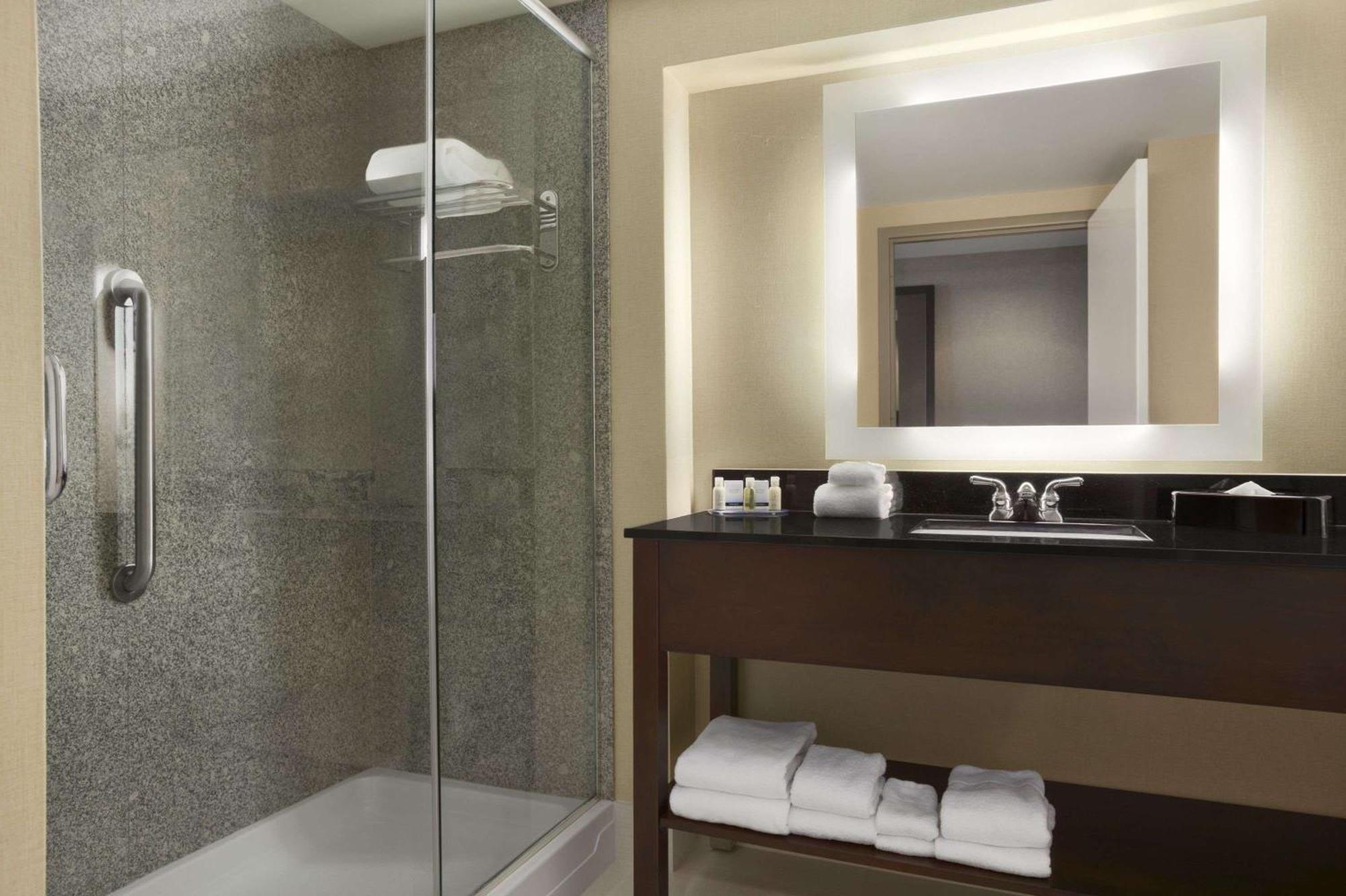 One-Bedroom King Suite Non-Smoking