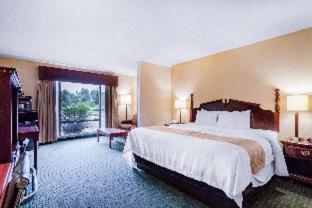 Superior King Room with Sofa Bed - Non-Smoking