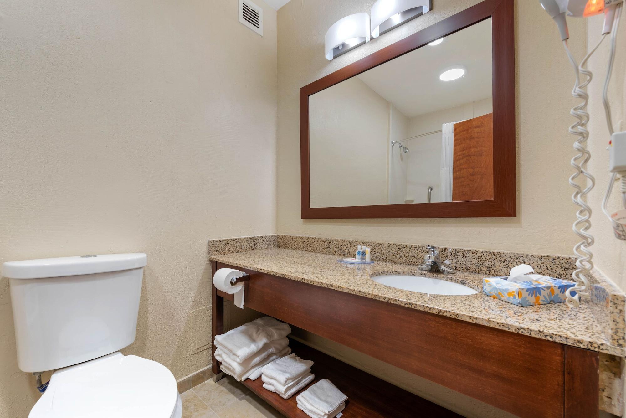 King Room Accessible or Non-Smoking