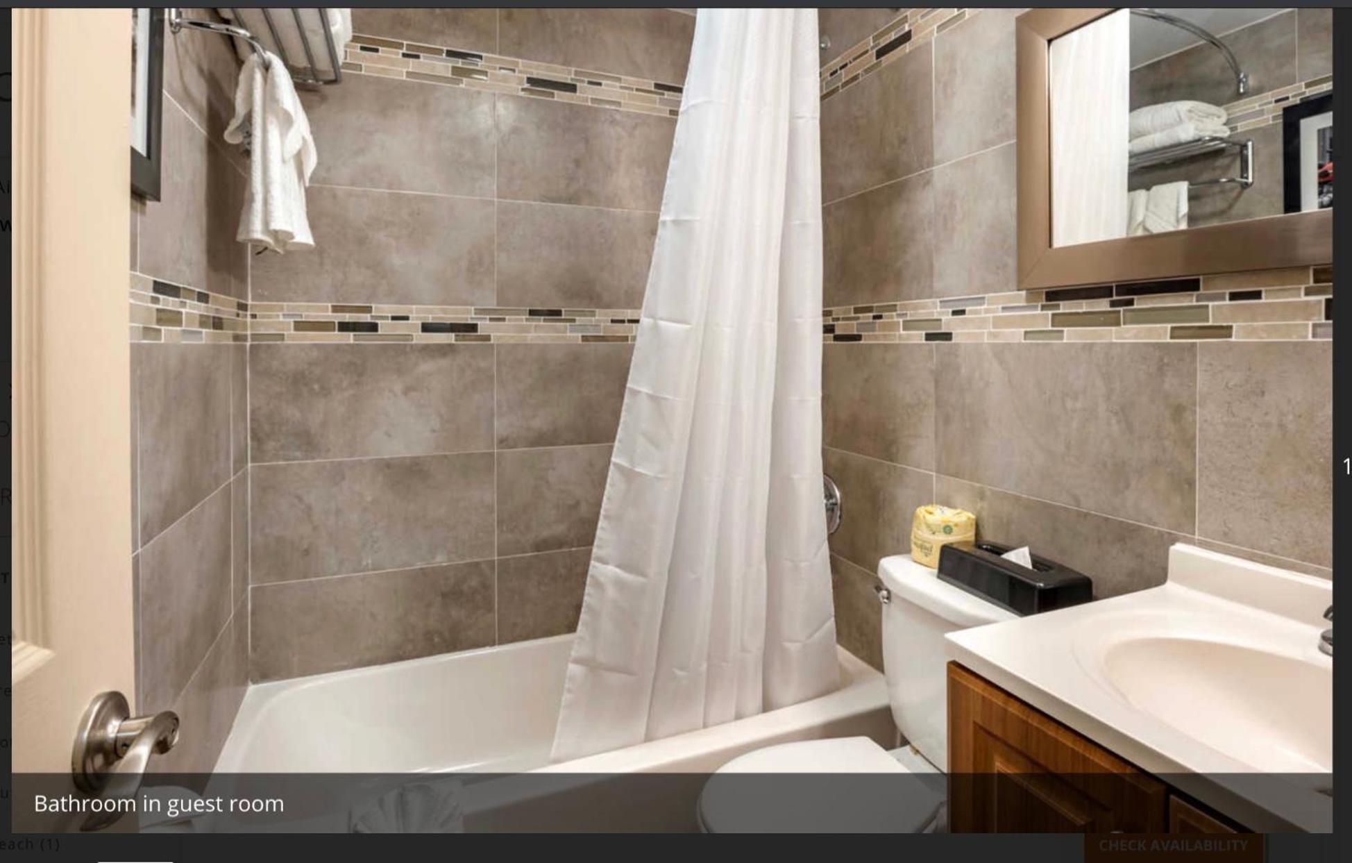 Apartment,1284528694:JPEG