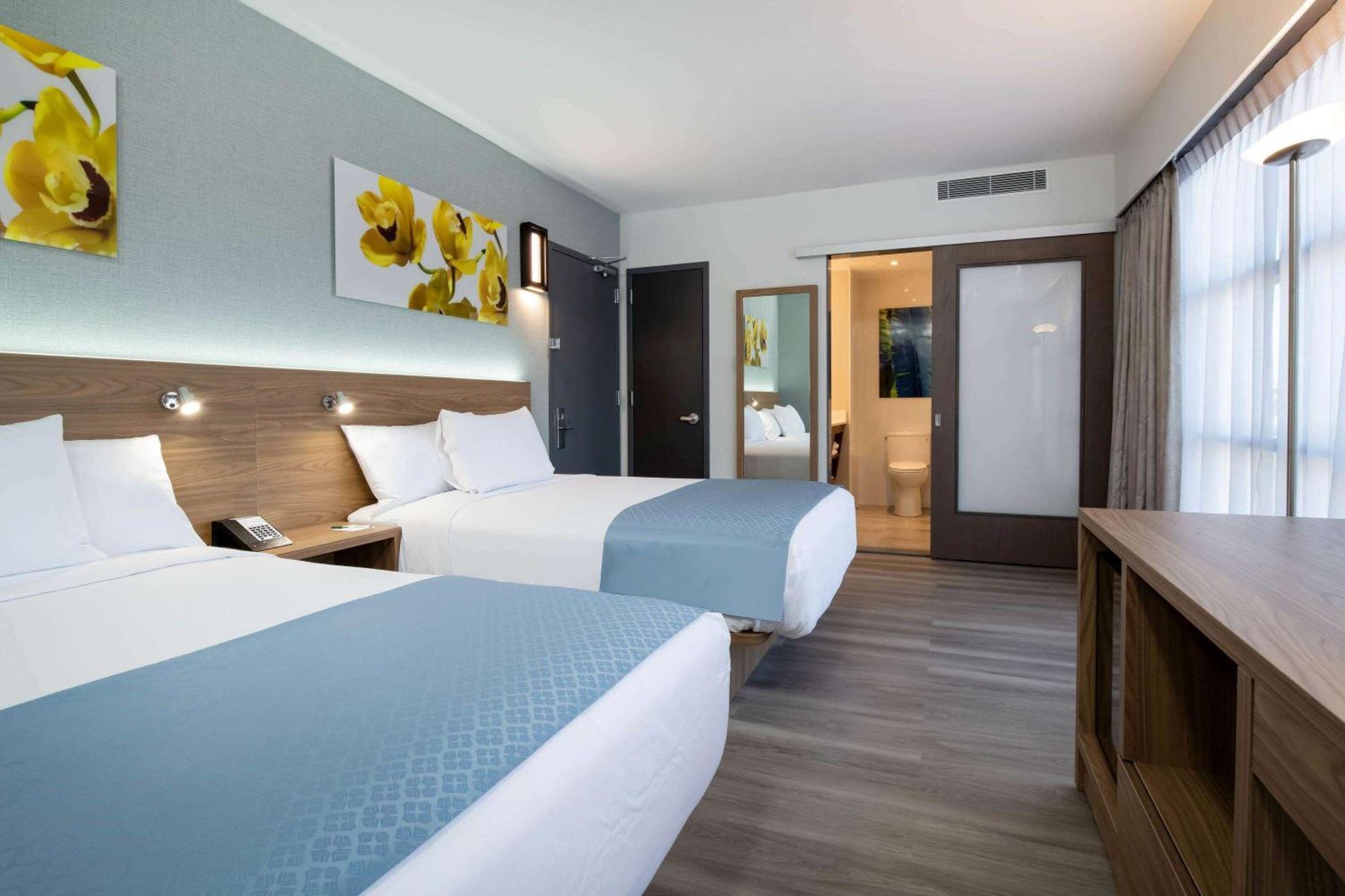 Double Room Two Double Beds Non-Smoking,1285114522:JPEG