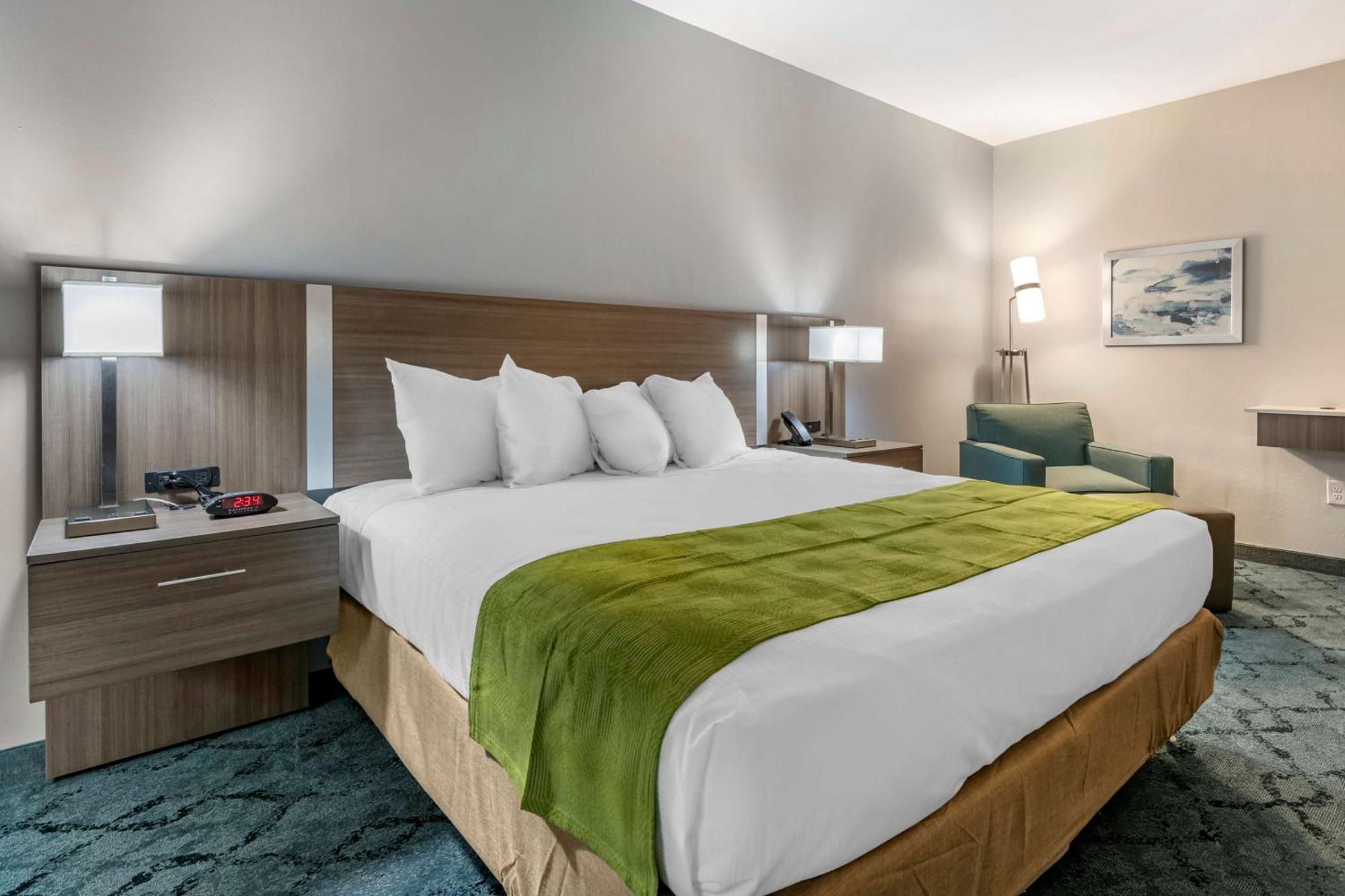 King Room with Roll-in Shower - Disability Access/Non-Smoking