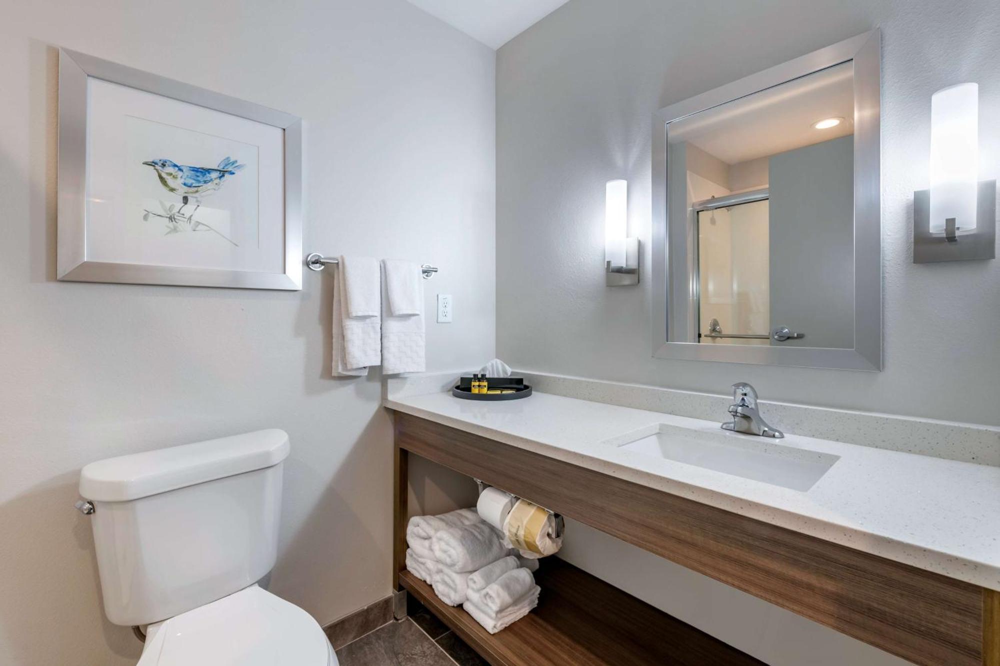 Queen Suite with Sofa Bed