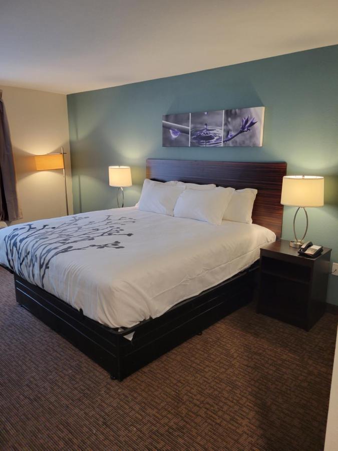 King Room - Non Smoking