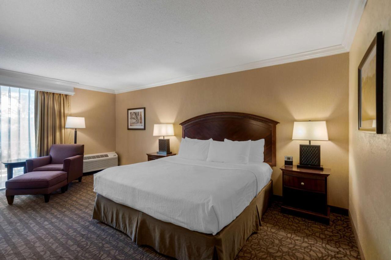 King Room - Non-Smoking