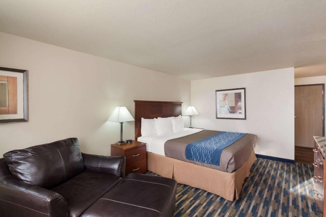 Superior King Suite - Non-Smoking,1323093280:JPEG