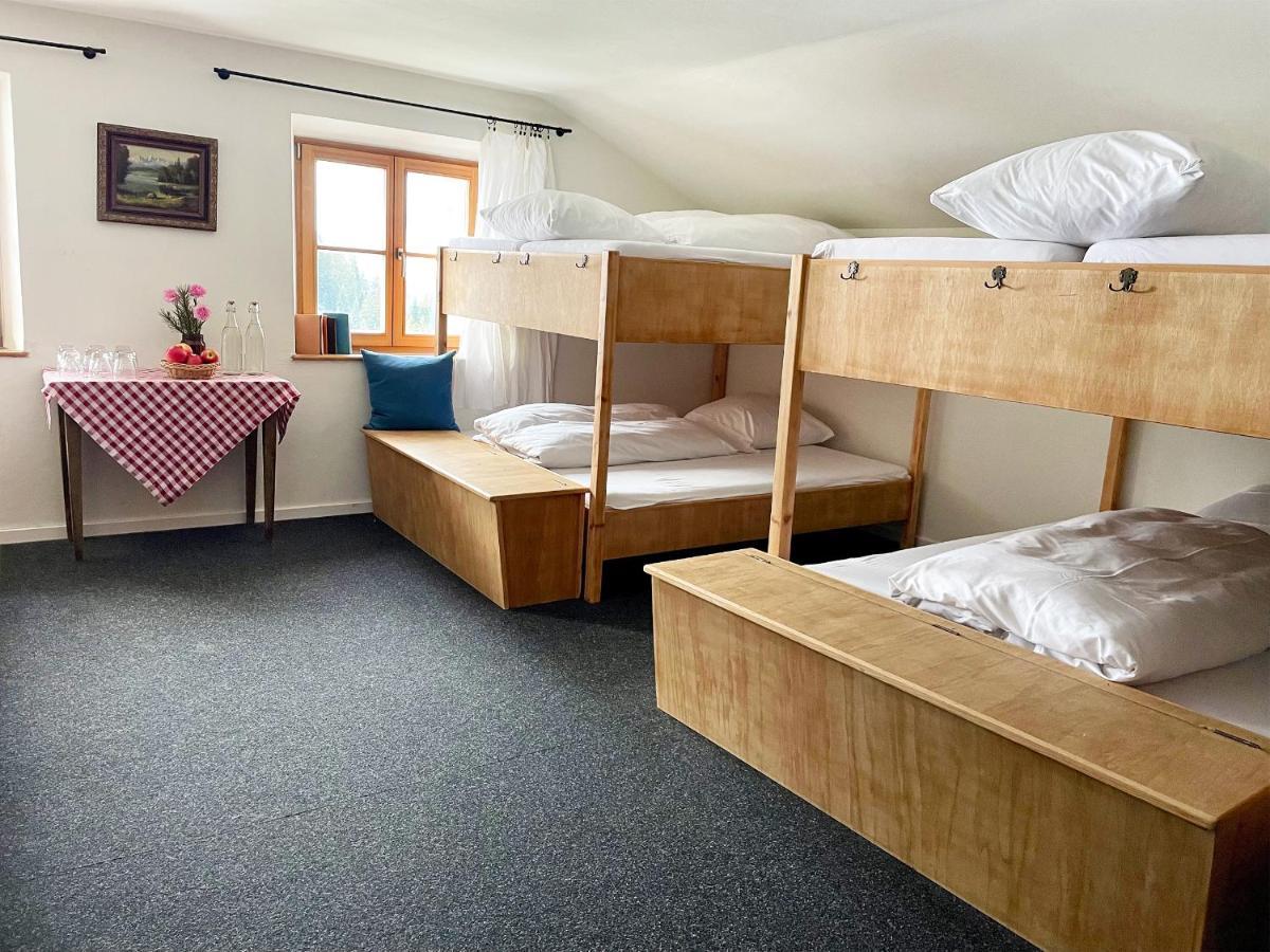 Bunk Bed Mixed Dormitory Room
