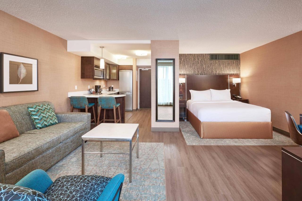 Studio Suite, 1 Queen Bed, 1 Sofa Bed