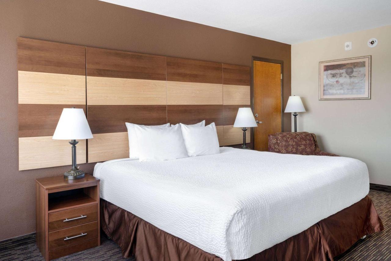 1 King Bed, Mobility Accessible Room, Roll-In Shower, Non-Smoking