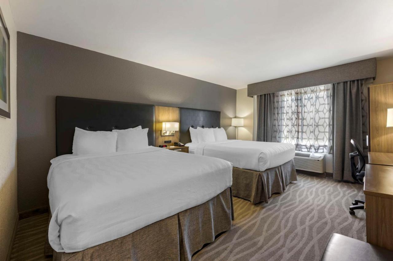Queen Room with Two Queen Beds