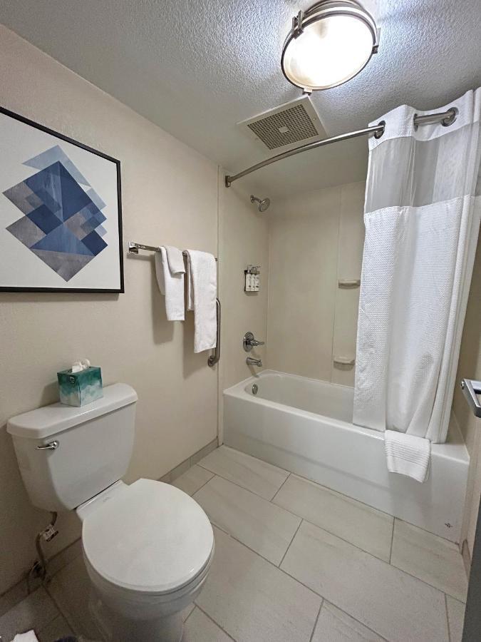 King Studio Suite,1421053770:JPEG