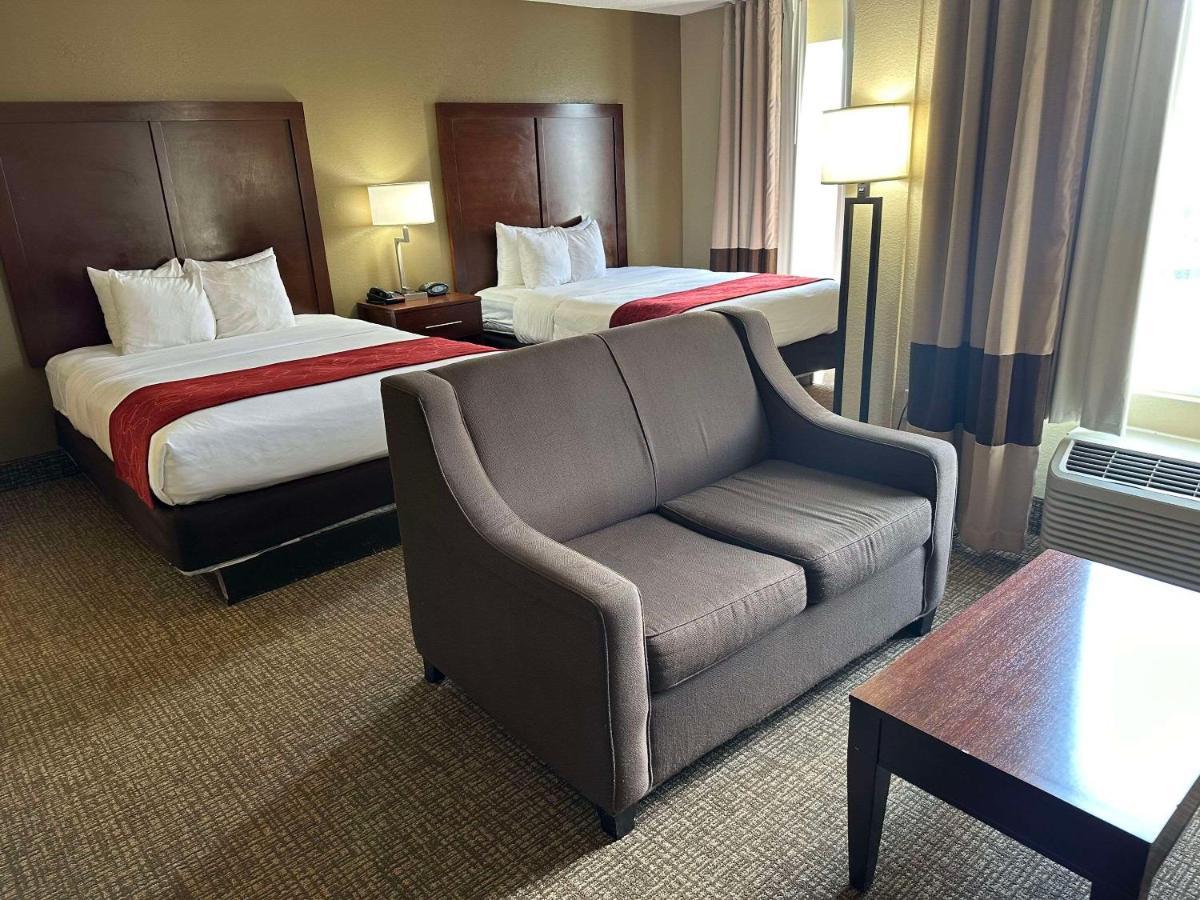 Studio Suite Two Queen Beds,1558422019:JPEG