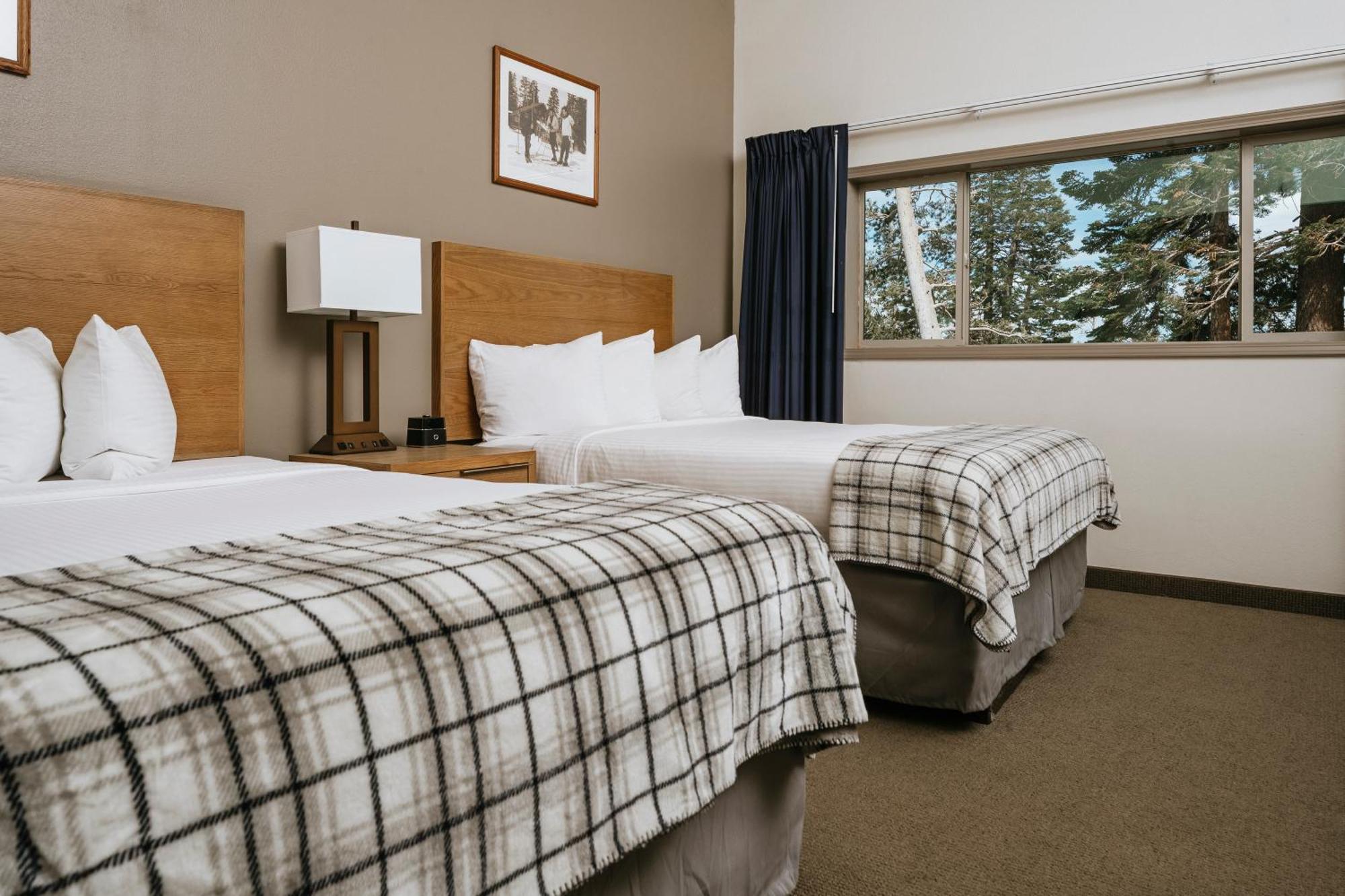 Standard Queen Room with Two Queen Beds,113361503:JPEG