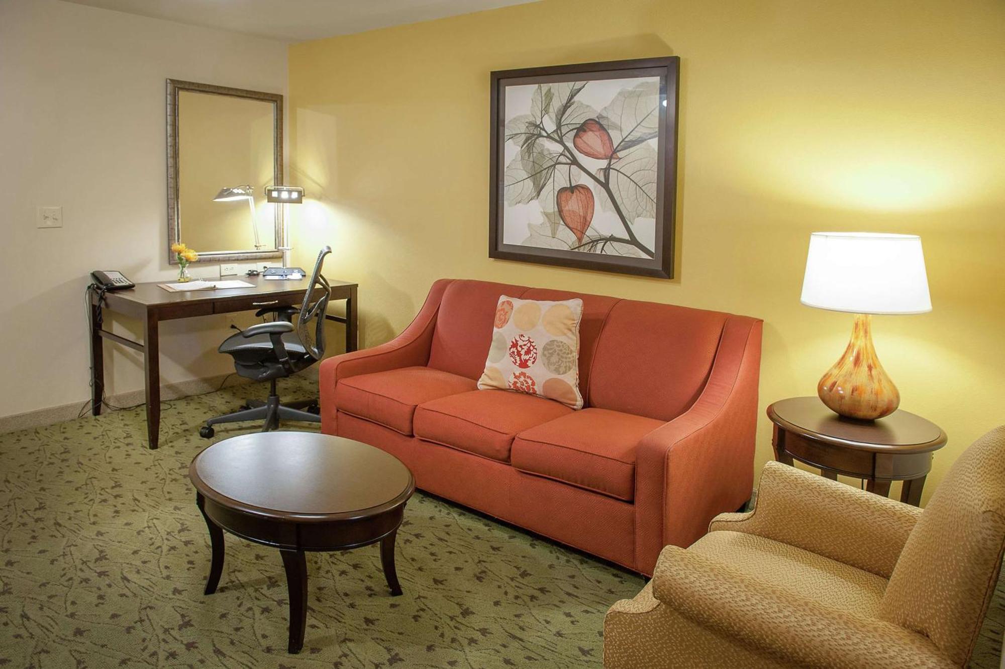Junior King Suite with Sofa Bed