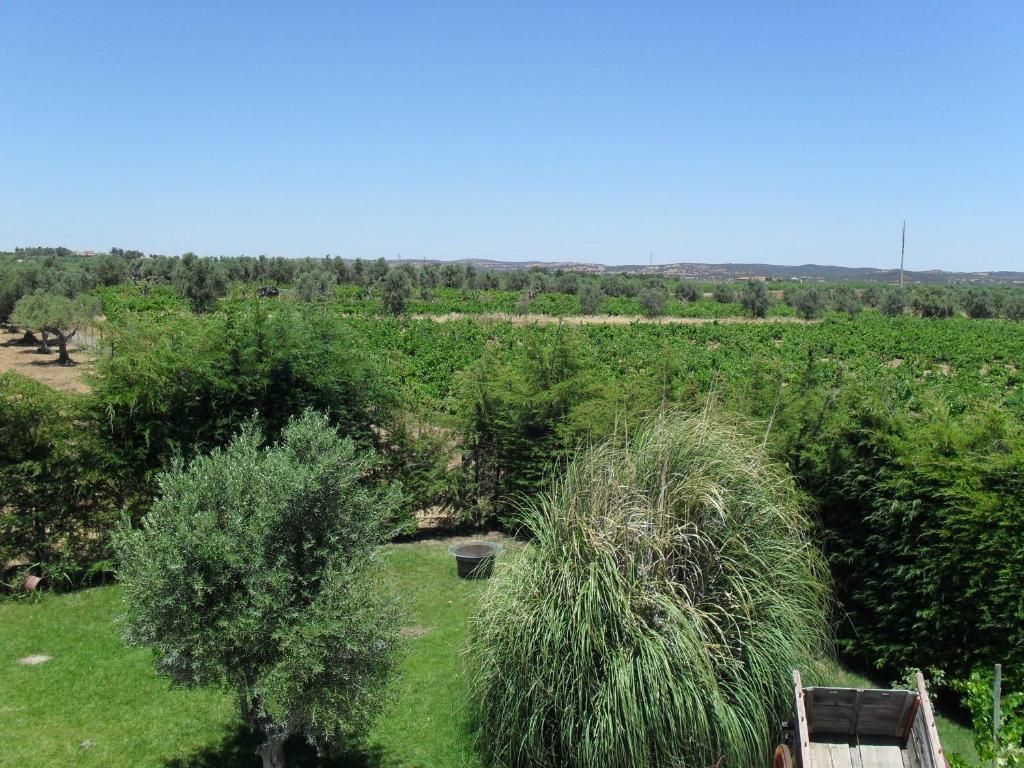 Double Room Balcony