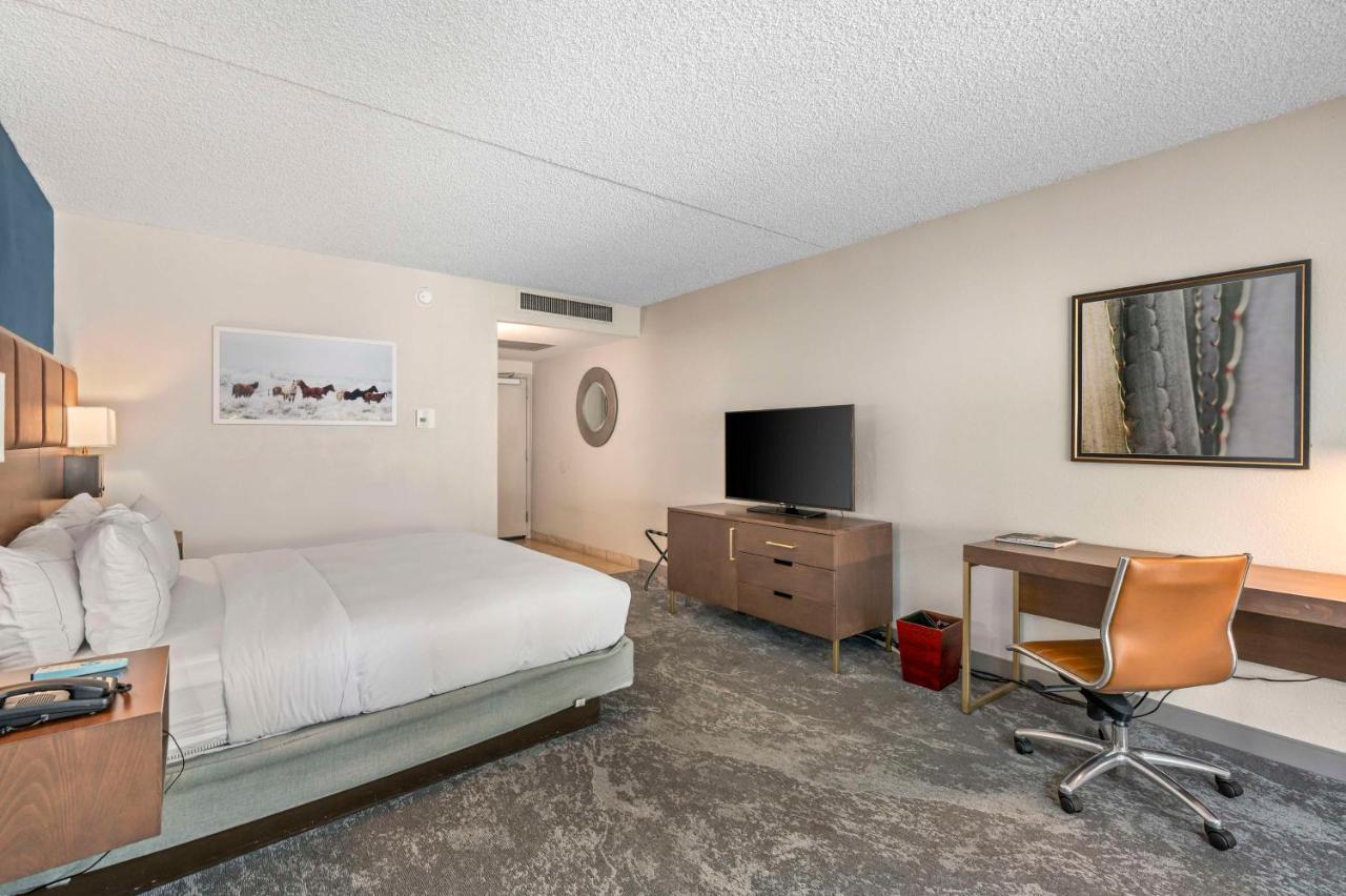 Standard King Suite