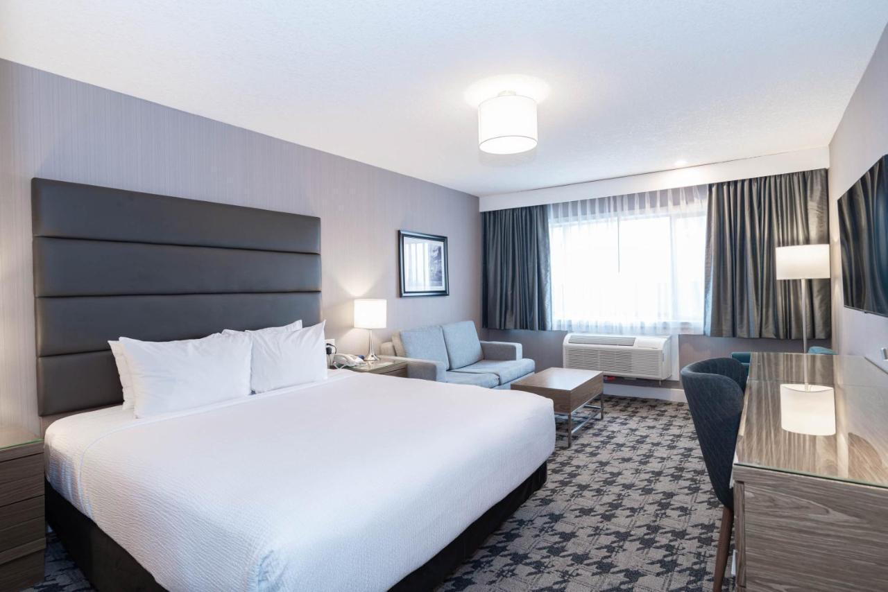 Standard Room, 1 King Bed, Sofa Bed
