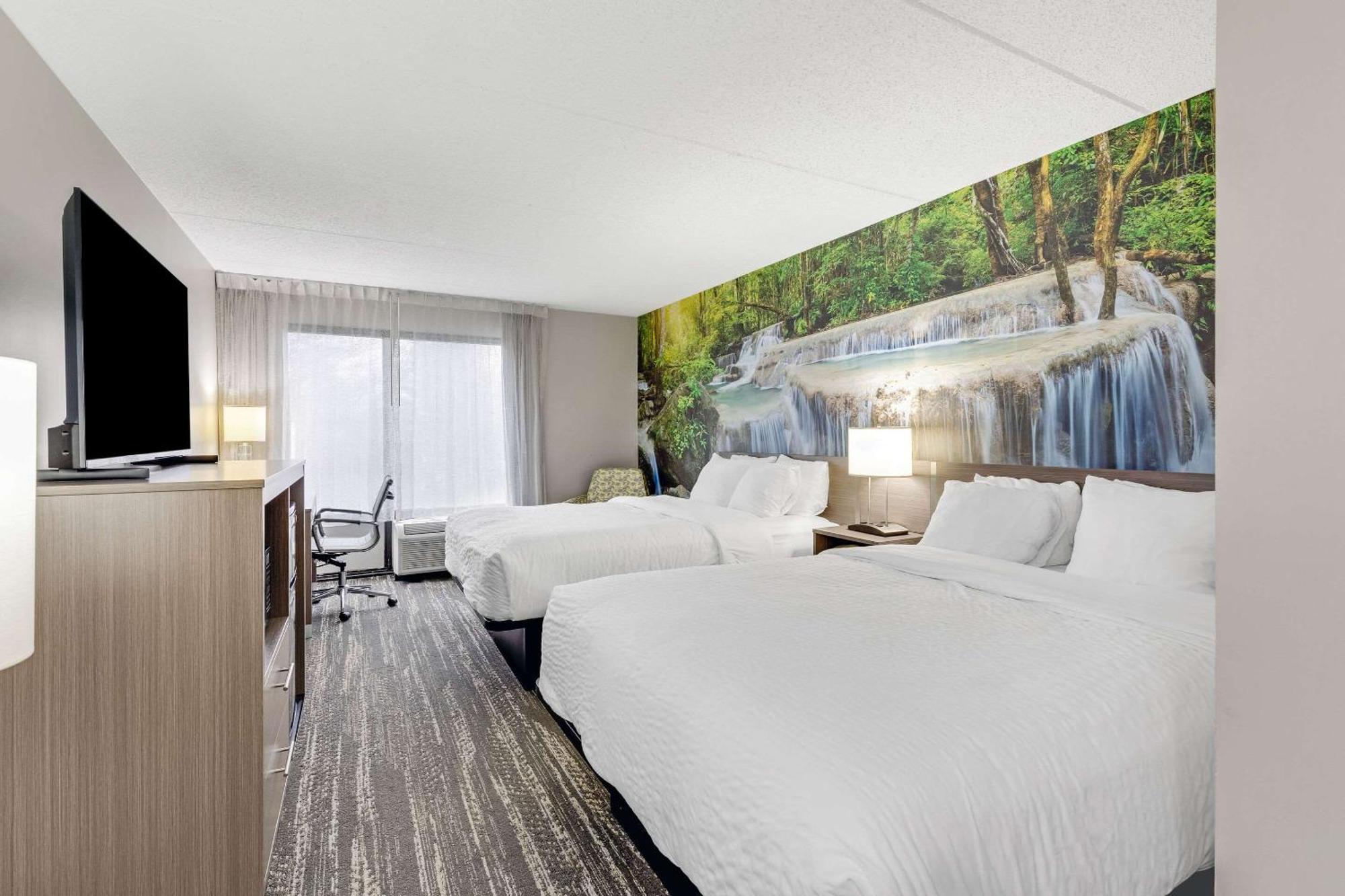 Queen Room Two Queen Beds Non Smoking