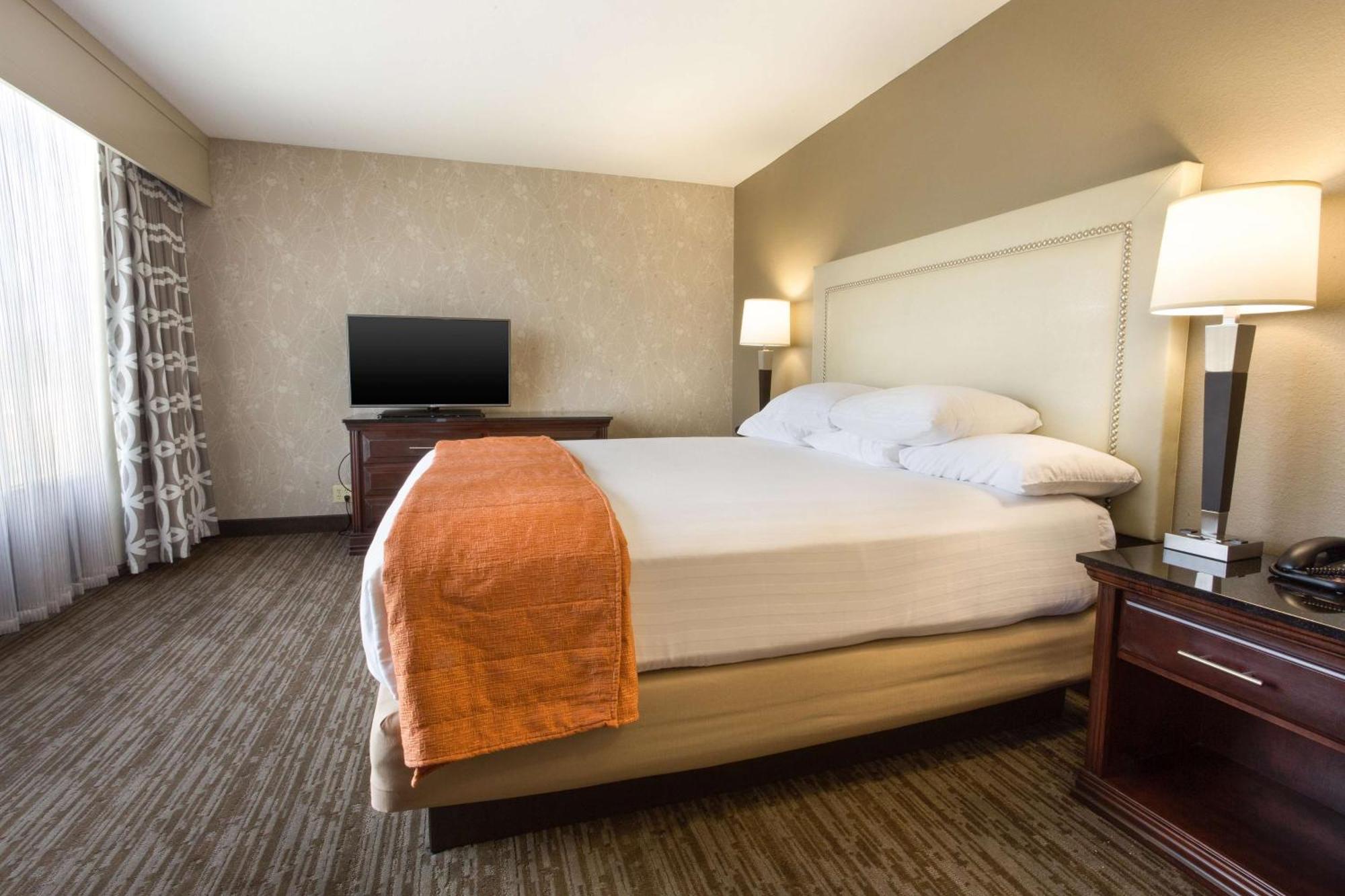 King Suite with Sofa Bed