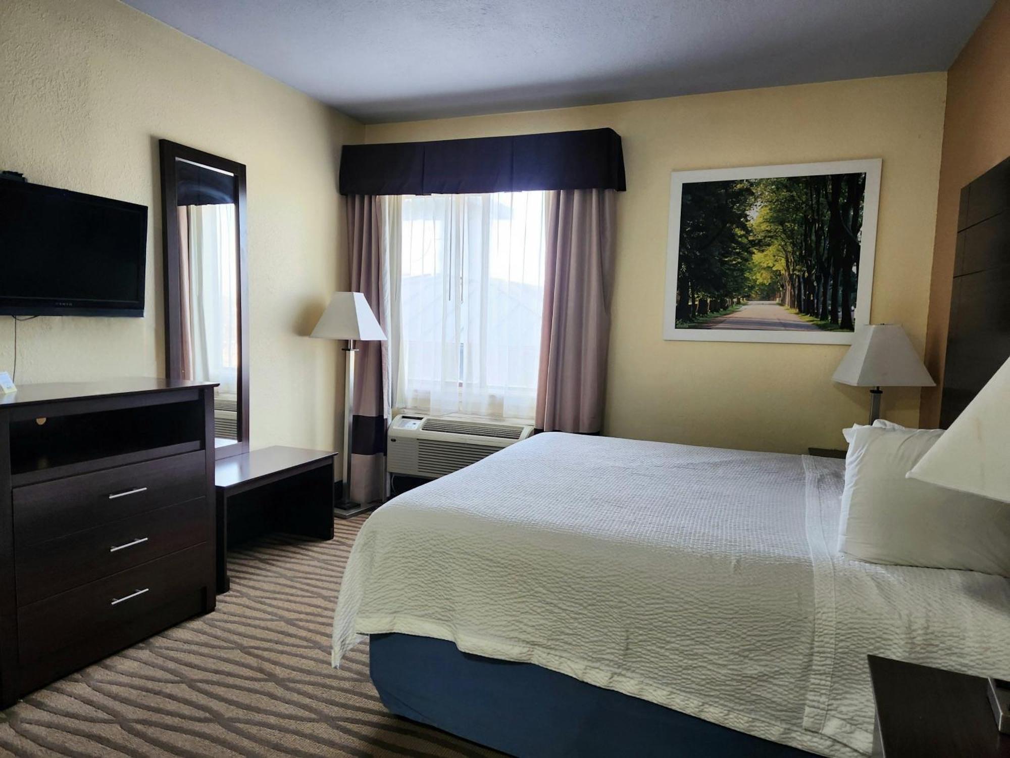 1 King Bed | Suite, Nsmk, Hot Tub, Micfridge