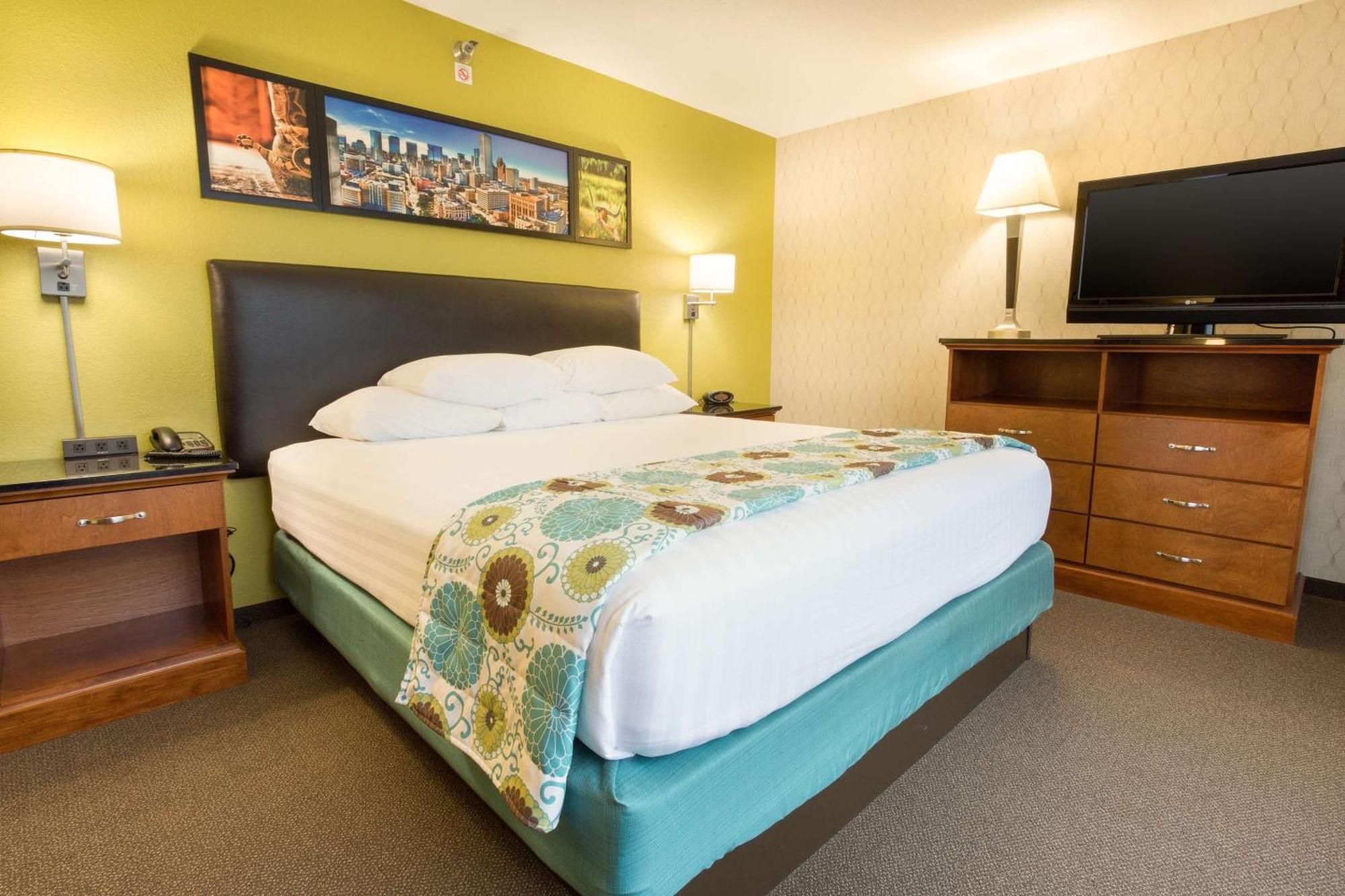 King Suite with Sofa Bed