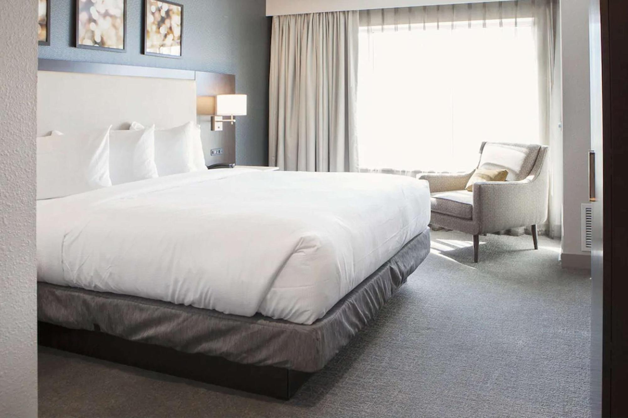 One-Bedroom King Suite