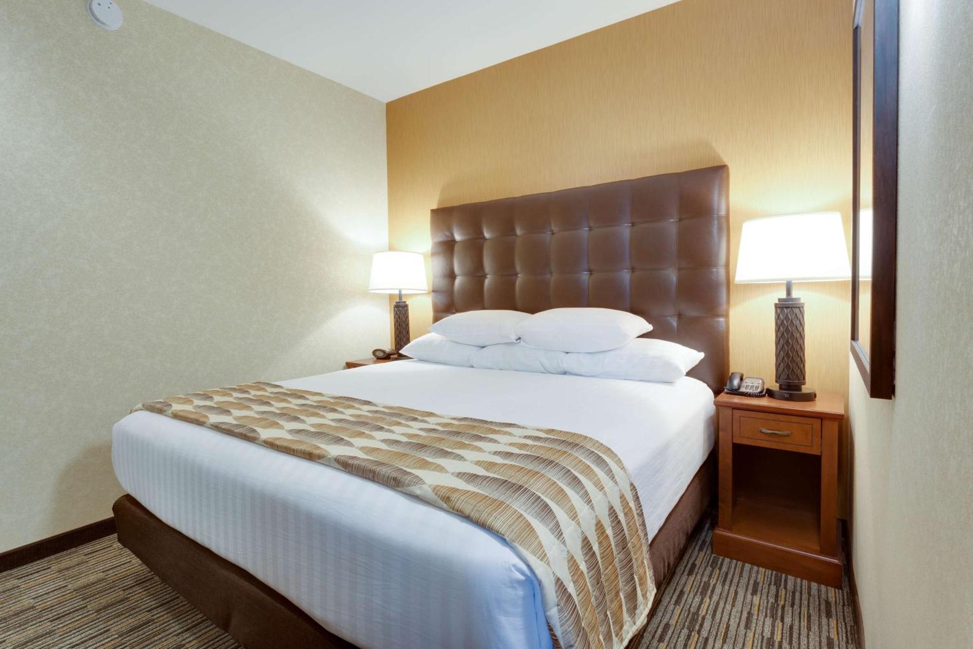 King Suite with Sofa Bed