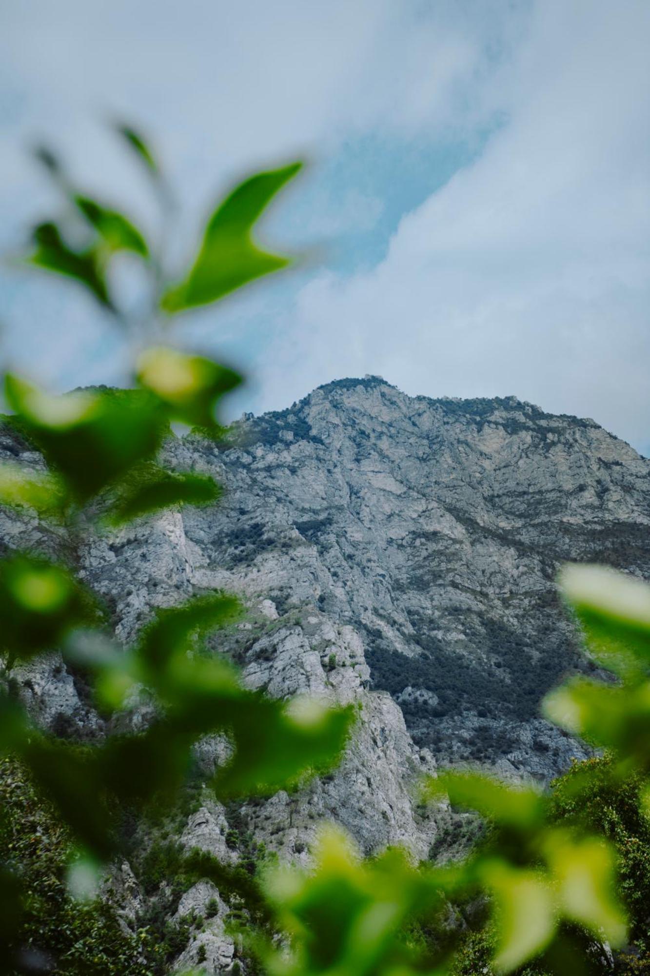 Single Room Mountain View