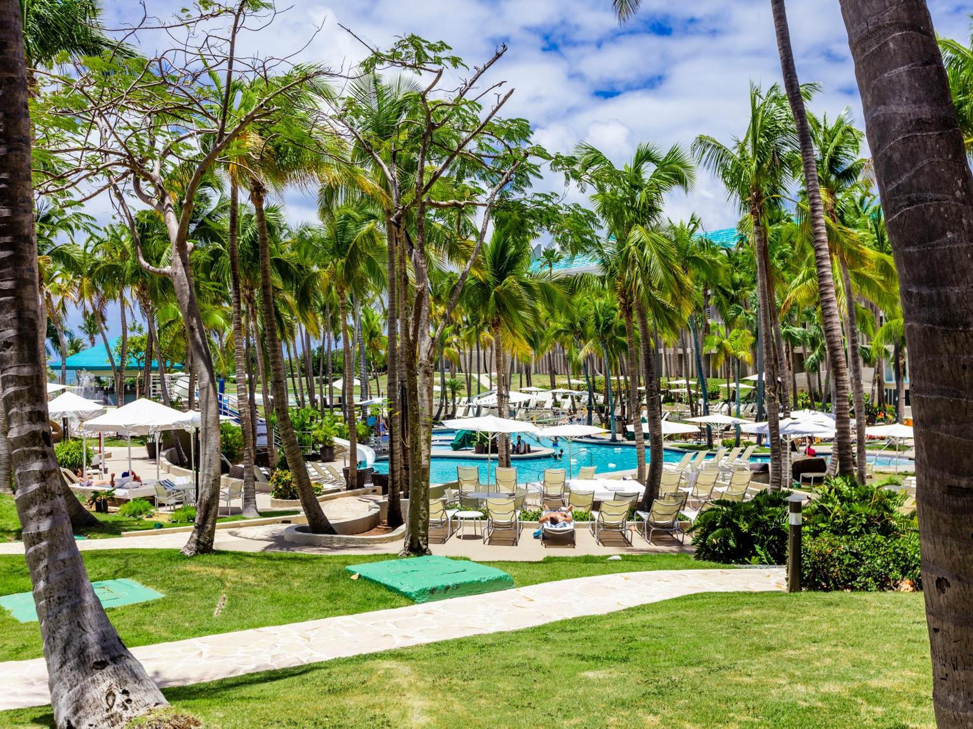 King Room Pool or Ocean View
